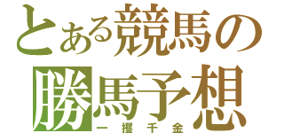 とある競馬の勝馬予想（一攫千金）