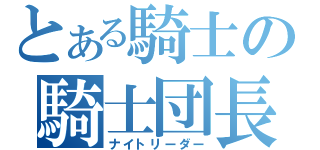 とある騎士の騎士団長（ナイトリーダー）