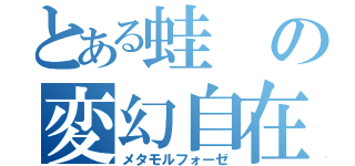 とある蛙の変幻自在（メタモルフォーゼ）