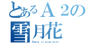 とあるＡ２の雪月花（Ｔｈｅｒｅ ｉｓ ｐｌａｙ ｍｉｓｓ）