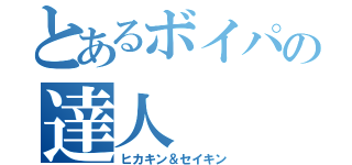 とあるボイパの達人（ヒカキン＆セイキン）