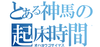 とある神馬の起床時間（オハヨウゴザイマス）