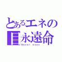 とあるエネの目永遠命（Ｎｅｖｅｒ ｅｙｅｓ）