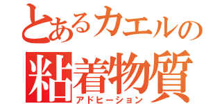 とあるカエルの粘着物質（アドヒーション）