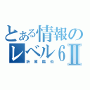 とある情報のレベル６Ⅱ（折原臨也）