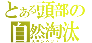 とある頭部の自然淘汰（スキンヘッド）