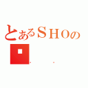 とあるＳＨＯの낷（ڲϰ）