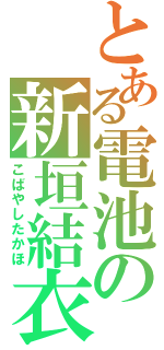 とある電池の新垣結衣（こばやしたかほ）