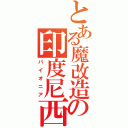 とある魔改造の印度尼西亜（パイオニア）