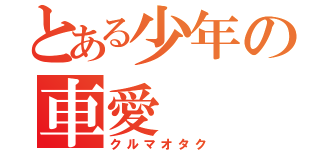 とある少年の車愛（クルマオタク）