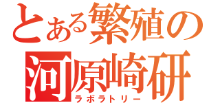 とある繁殖の河原崎研（ラボラトリー）