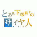 とある下級戦士のサイヤ人（孫悟空）