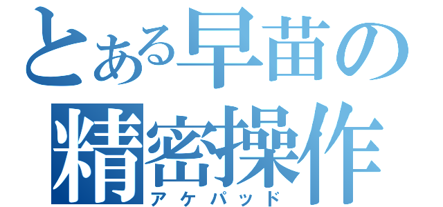 とある早苗の精密操作（アケパッド）