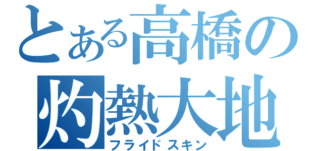 とある高橋の灼熱大地（フライドスキン）