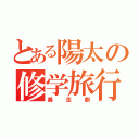 とある陽太の修学旅行（暴走劇）