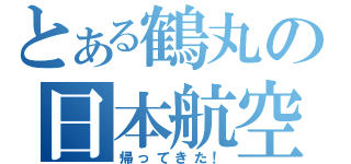 とある鶴丸の日本航空（帰ってきた！）