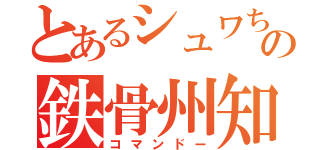 とあるシュワちゃんの鉄骨州知事（コマンドー）