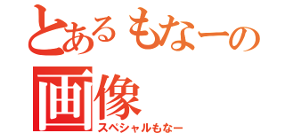 とあるもなーの画像（スペシャルもなー）