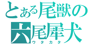 とある尾獣の六尾犀犬（ウタカタ）