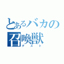 とあるバカの召喚獣（テスト）