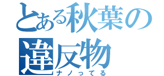 とある秋葉の違反物（ナノってる）