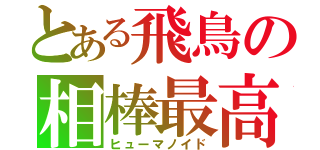 とある飛鳥の相棒最高（ヒューマノイド）