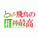 とある飛鳥の相棒最高（ヒューマノイド）