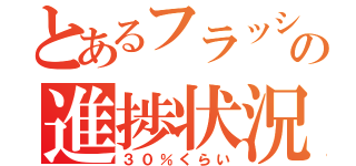 とあるフラッシュの進捗状況（３０％くらい）