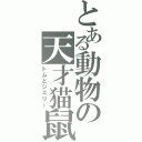 とある動物の天才猫鼠（トムとジェリー）