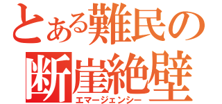 とある難民の断崖絶壁（エマージェンシー）