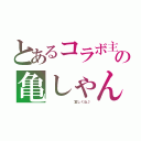 とあるコラボ主の亀しゃん（        宜しくね♪）