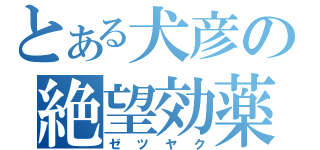 とある犬彦の絶望効薬（ゼツヤク）