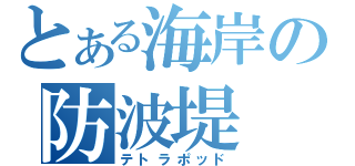 とある海岸の防波堤（テトラポッド）