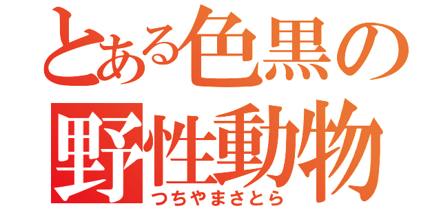 とある色黒の野性動物（つちやまさとら）