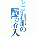 とある刹那の武力介入（愛！？）