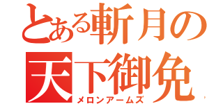 とある斬月の天下御免（メロンアームズ）