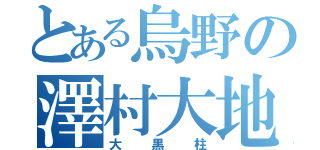 とある烏野の澤村大地（大黒柱）