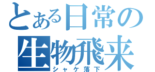 とある日常の生物飛来（シャケ落下）