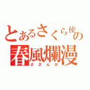 とあるさくら使いの春風爛漫（さざんか）