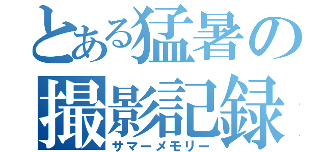 とある猛暑の撮影記録（サマーメモリー）