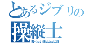 とあるジブリの操縦士（飛べない豚はただの豚）