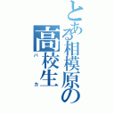 とある相模原の高校生（バカ）