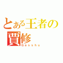 とある王者の賈修（Ｇａｓｓｈｕ）