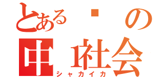 とある㌁の中１社会（シャカイカ）