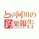 とある河川の釣果報告（ビックフィッシュ）