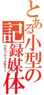 とある小型の記録媒体（フラッシュメモリー）