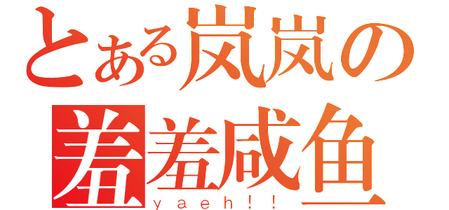 とある岚岚の羞羞咸鱼（ｙａｅｈ！！）