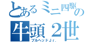 とあるミニ四駆の牛頭２世（ブルヘッドＪｒ．）