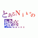 とあるＮｉｋｅの城高（城高小天王）