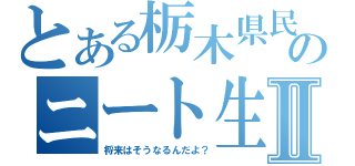 とある栃木県民のニート生活Ⅱ（将来はそうなるんだよ？）